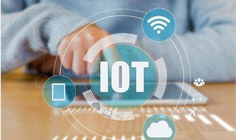 物聯(lián)網(wǎng) 無處不在的智能連接與人工智能集成的行業(yè)應(yīng)用