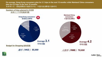 了解96I.T.: 專業(yè)數據服務引領信息時代洞察力